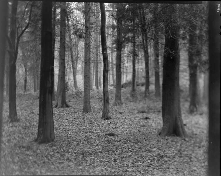 David Chalmers copyright 2011